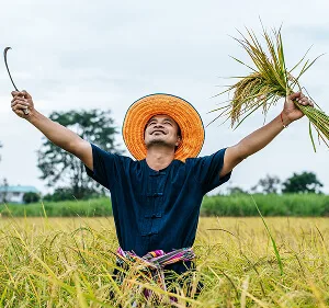 在界面友好，操作便捷方面，MK体育提供贴心周到的支持。 更新 - MK体育