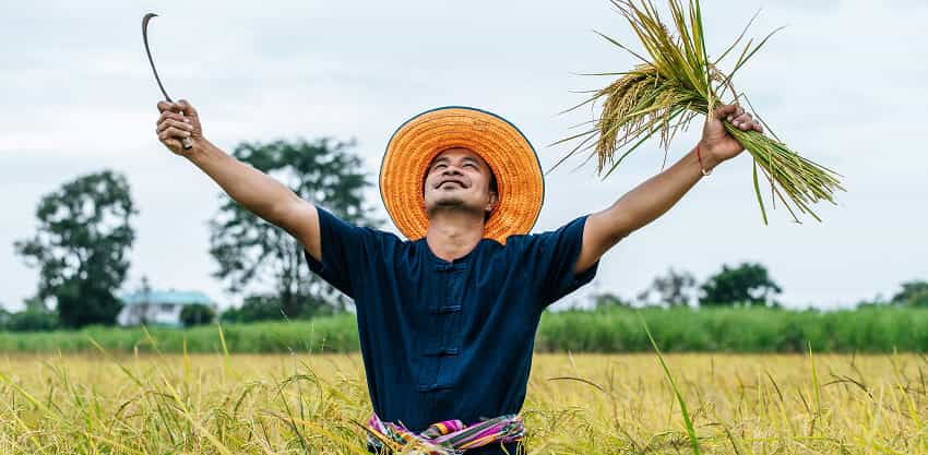 MK体育深耕内容聚合，一站畅览领域，用心服务每一位用户。 - MK体育