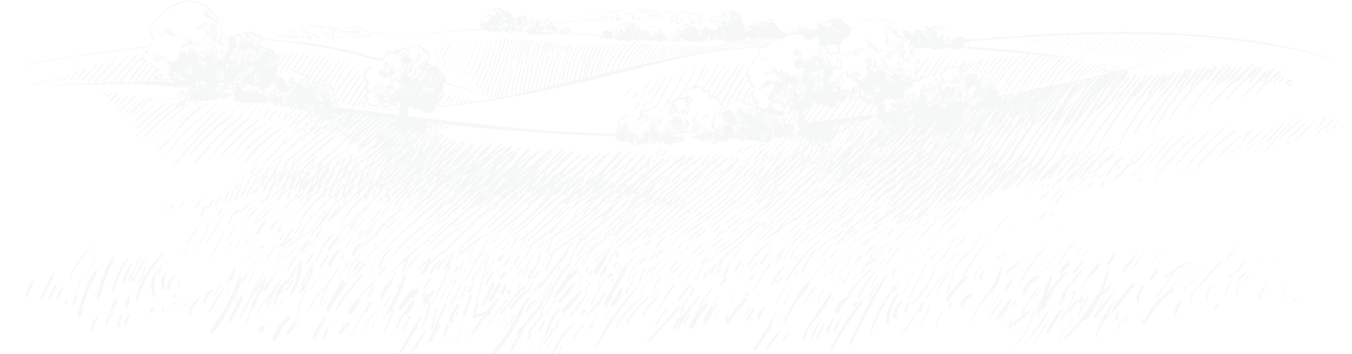 4K+ - MK体育