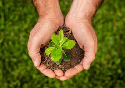 Organic Farming Solutions - MK体育